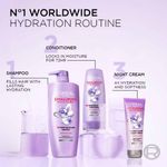 Buy L'Oreal Paris Hyaluron Moisture 72H Moisture Filling Shampoo | With Hyaluronic Acid | For Dry & Dehydrated Hair | Adds Shine & Bounce 1L 1000ml - Purplle