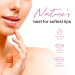 Buy WOW Skin Science Himalayan Rose Lip Balm for Moisturize Chapped & Cracked Lips with 100% Natural Himalayan Pure Rose Oil - Dry, Damaged & Undernourished Skin Type - 10g - Purplle