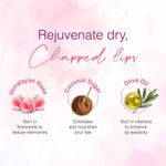 Buy WOW Skin Science Himalayan Rose Lip Scrub - Exfoliates / Smoothens Chapped & Cracked lips with 100% Natural Himalayan Pure Rose Oil - For Dry, and Tanned lips - 15g - Purplle