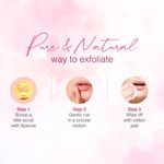 Buy WOW Skin Science Himalayan Rose Lip Scrub - Exfoliates / Smoothens Chapped & Cracked lips with 100% Natural Himalayan Pure Rose Oil - For Dry, and Tanned lips - 15g - Purplle