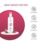 Buy Natural Infusions Onion Hair Oil With Virgin Coconut Oil - With Comb Applicator - Strong and Healthy Hair - Deep Nourishment - Hair Growth – 100ml (Pack of 1) - Purplle