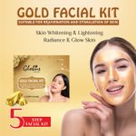 Buy Globus Remedies Gold Facial Kit For Illuminating Skin |5 Step Bridal Radiance Kit - 110 gm - Purplle