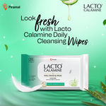 Buy Lacto Calamine Daily Cleansing Face Wipes 25 Wipes( BUY 1 GET 1 FREE) - Purplle