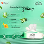 Buy Lacto Calamine Daily Cleansing Face Wipes 25 Wipes( BUY 1 GET 1 FREE) - Purplle