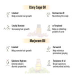 Buy Keya Seth Aromatherapy, Alopex Long N Strong Hair Oil 100 ml - Purplle