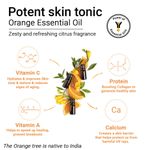 Buy Keya Seth Aromatherapy, Orange Facewash, Vitamin C Enriched, 100 ml - Purplle