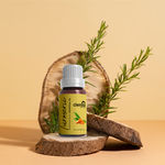 Buy Clensta Turmeric Essential Oil for Aromatherapy, Stress Relief, Hair, Skin & Sleep, 15 ml, Suitable For All - Purplle