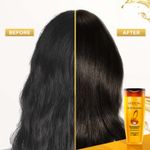 Buy L'Oreal Paris 6 Oil Nourish Shampoo 396ml with Conditioner 192.5ml & Extraordinary Oil Serum 30ml - Purplle