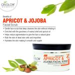 Buy Oxyglow Apricot & Jojoba Facial Scrub - 500 g - Purplle