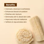Buy Matra 100% Natural Oval Shower Loofah Pad - Dual-sided Organic Bath Sponge for Deep Cleansing & Skin Refining - Exfoliating Body Scrubber to Remove Dead Skin Cells - Vegan Scrub Pad for Men & Women - Purplle