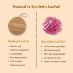 Buy Matra 100% Natural Oval Shower Loofah Pad - Dual-sided Organic Bath Sponge for Deep Cleansing & Skin Refining - Exfoliating Body Scrubber to Remove Dead Skin Cells - Vegan Scrub Pad for Men & Women - Purplle