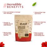 Buy Atulya Hibiscus Organic Powder - Purplle