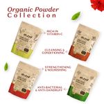 Buy Atulya Hibiscus Organic Powder - Purplle