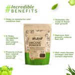 Buy Atulya Organic Powder Herbal Henna 100 gm - Purplle