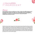 Buy Atulya Rose Lip balm 5 gm - Purplle