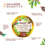 Buy Atulya Cocoa Butter Natural Lip Balm - Purplle