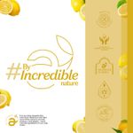 Buy Atulya Lemon natural Lip Balm 5 gm - Purplle
