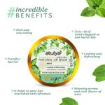 Buy Atulya Mint Natural Lip Balm 5 gm - Purplle