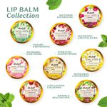 Buy Atulya Mint Natural Lip Balm 5 gm - Purplle