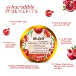 Buy Atulya Pomegranate Natural Lip Balm 5 gm - Purplle