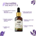 Buy Atulya Lavender Essential Oil 15 ml - Purplle