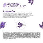 Buy Atulya Lavender Essential Oil 15 ml - Purplle