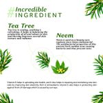 Buy Atulya Tea Tree Anti acne Facial Mist Toner 150 ml - Purplle