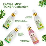 Buy Atulya Tea Tree Anti acne Facial Mist Toner 150 ml - Purplle
