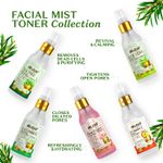 Buy Atulya Tea Tree Anti acne Facial Mist Toner 150 ml - Purplle