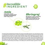 Buy Atulya Amla & Bhringraj Shampoo 300 ml - Purplle