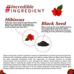 Buy Atulya Hibiscus & Black Seed Shampoo 300 ml - Purplle