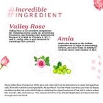 Buy Atulya Valley Rose Shampoo 300 ml - Purplle