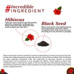 Buy Atulya Hibiscus & Black Seed Hair Conditioner 300 ml - Purplle
