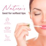 Buy WOW Skin Science Himalayan Rose Lip Oil to Moisturize / Smoothen Cracked & Chapped Lips with 100% Natural Himalayan pure rose oil - For Dry, Undernourished and Pigmented Lips (10 ml) - Purplle