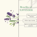 Buy Good Vibes Lavender & Mint Refreshing Shower Gel |(Body Wash) Refreshing, Soothing, Calming (200 ml) - Purplle