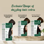 Buy Biotique Bio Herbcolor 3N Darkest Brown (50 g +110 ml) Pack Of 2 - Purplle