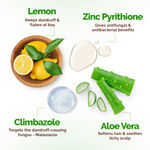 Buy Mamaearth Lemon Anti-Dandruff Shampoo with Lemon & Aloe Vera for up to 100% Dandruff & Itch-free Scalp- 250 ml - Purplle