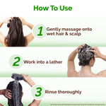 Buy Mamaearth Lemon Anti-Dandruff Shampoo with Lemon & Aloe Vera for up to 100% Dandruff & Itch-free Scalp- 250 ml - Purplle