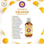 Buy Deve Herbes Pure Orange Essential Oil (Citrus sinensis) Natural Therapeutic Grade Steam Distilled 10ml - Purplle