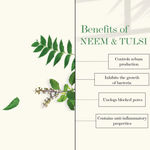 Buy Good Vibes Neem & Tulsi Moisturizing Face Gel | Anti-Acne, Hydrating, Moisturizing | No Parabens, No Sulphates, No Mineral Oil (50 g) - Purplle