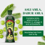 Buy Dabur Amla Hair Oil for Long, Healthy and Strong Hair, 450ml - Purplle