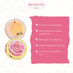Buy Khadi Essentials Wild Rose Lip Balm with Vitamin E, 5gm - Purplle