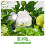 Buy Organic Harvest Cream -A Skin Brightening (50 gm) - Purplle