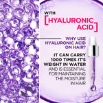 Buy L'Oreal Paris Hyaluron Moisture 72H Moisture Filling Shampoo | With Hyaluronic Acid | For Dry & Dehydrated Hair | Adds Shine & Bounce 650ml - Purplle
