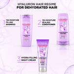 Buy L'Oreal Paris Hyaluron Moisture 72H Moisture Filling Shampoo | With Hyaluronic Acid | For Dry & Dehydrated Hair | Adds Shine & Bounce 650ml - Purplle