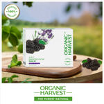 Buy Organic Harvest 4 In 1 Diamond Glow Facial Kit: Mulberry & Lavender | 6-step Instant Glow Combo | For Women & Men | 100% American Certified Organic | Paraben & Sulphate-free-48gm(Pack of 4) - Purplle