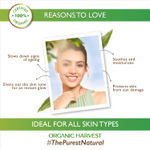 Buy Organic Harvest 4-in-1 Vitamin A Facial Kit Increases Skin Elasticity, Tighten Skin, Protects Skin Against Sun Damage, Ideal for Dry & Combination Skin, Paraben & Sulphate Free – 160gm - Purplle