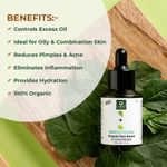 Buy Organic Harvest Vitamin B Skin Care Beauty Gift Set for Women & Girls | Luxury Combo Kit for All Occasions – Diwali, Christmas | Ideal For Oily Skin, Paraben & Sulphate Free - Purplle