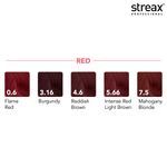 Buy Streax Professional Argan Secret Hair Colourant Cream - Flame Red 0.6 (60 gm) - Purplle