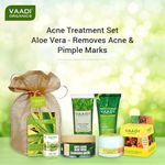 Buy Vaadi Herbals Acne Treatment Set - Aloe Vera - Removes Acne & Pimple Marks (285 gm) - Purplle